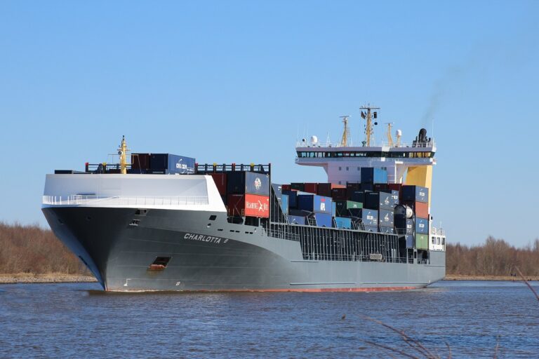 Prospects of the Indian Maritime Market Overview: Opportunities and Potential in 2025